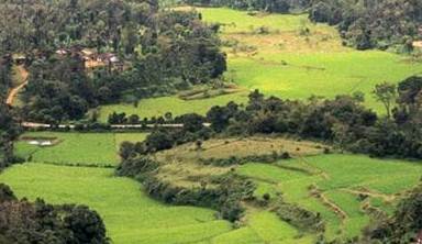 Coorg Weekend Package- Coorg Weekend Tour Package